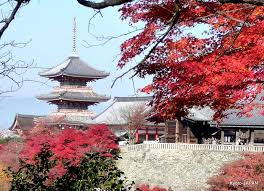 van-chuyen-hang-di-nhat-ban